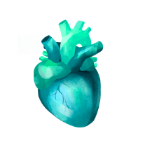 Illustration Kardiologie